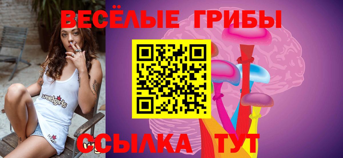 Псилоцибиновые грибы Psilocybe  Галлюциногенные грибы MAGIC MUSHROOMS  Вход с VPN  Киржач 